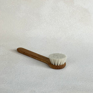 Dry Face Brush