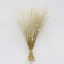 Load image into Gallery viewer, Dried Feather Grass Bundle