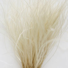Load image into Gallery viewer, Dried Feather Grass Bundle